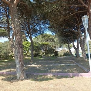Les Locations de Lara V - T2 spacieux calme - Près plage, Ile des Loisirs, port - Parking