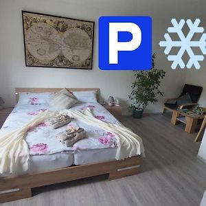 Pension Ringo, Airport Pit Stop, Bahnhof Und Flughafen In Der Naehe