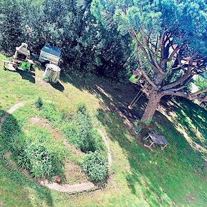 Grand T3 Frejus Base Nature