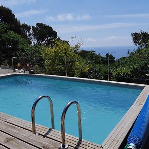 Haut De Villa Au Mont St Clair Vue Exceptionnelle Mer Et Foret Terrasses, Piscine, Petanque, Solarium Prives