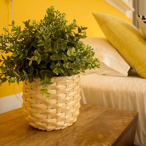 Intendente 1865 Suites