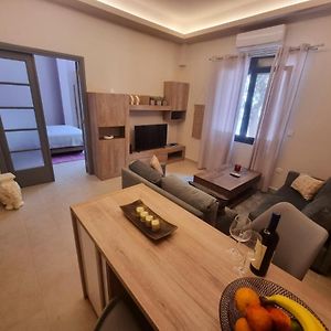 Ellis Apartment