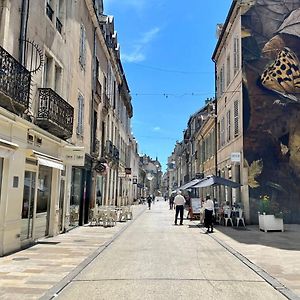 Chouette Appartement Dijon Centre