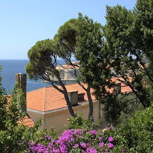 Tole Apartment