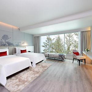Deluxe  New Wing Room