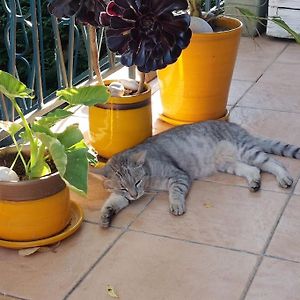 Chez Moi