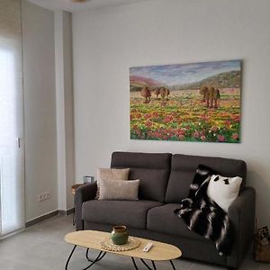 Sdb Lagunillas