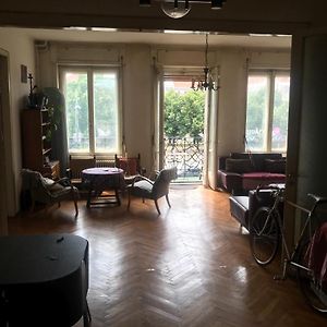 Spacious Apartman In The Center