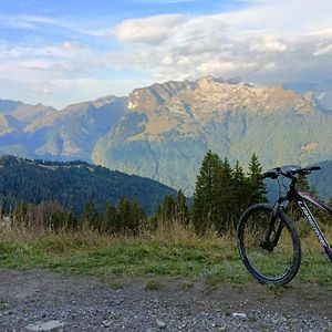 Appartement Pied Des Pistes - Samoens 1600