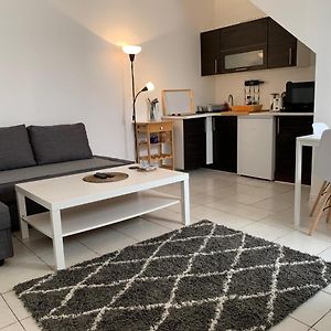 Biarritz Centre, Pres Avenue De Verdun- Plage Et Casino A 10 Mn A Pied- 4 Personnes -Rdc