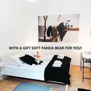 Black & White Apartment With A Gift Soft Panda