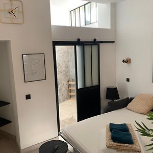 Studio Loft 40M2 De Charme
