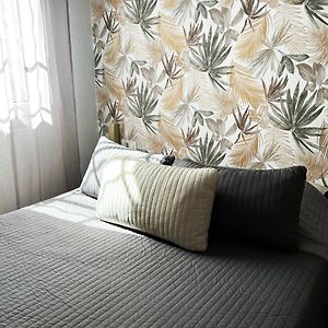 Chambre Standarde
