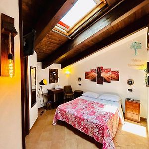 Chambre Standarde Lit King-Size