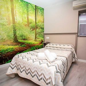 Hostal Viena Plaza Nueva
