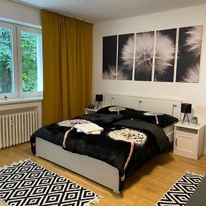 Studio Apartment Dandelion
