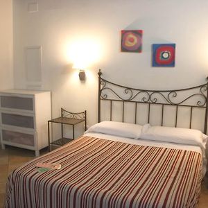 Studio Lit King-Size