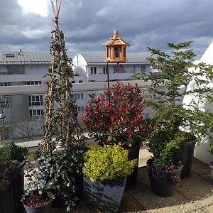 Sur Les Toits D'Orleans