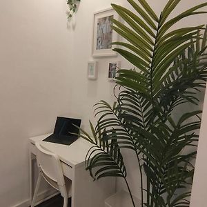 Studio Lit Queen-Size