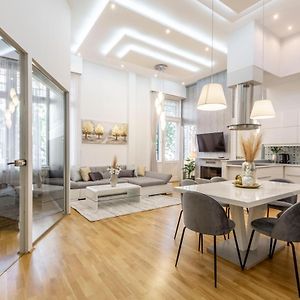Luxurious & Spacious Downtown Residence In Liszt Ferenc Square