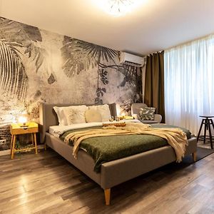 Appartement Studio