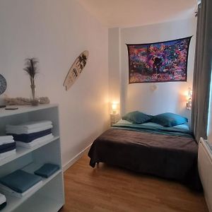 Offre Speciale Joli T2 Coeur De Lille