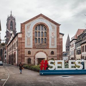Confortable Appartement Au Centre De Selestat