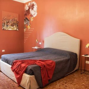 Chambre Standarde Lit Queen-Size