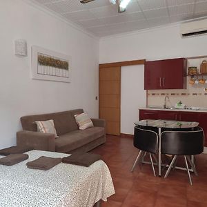 Sunny Holiday Studio