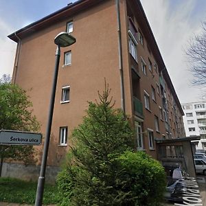Spacious Apartment - Green & Peaceful