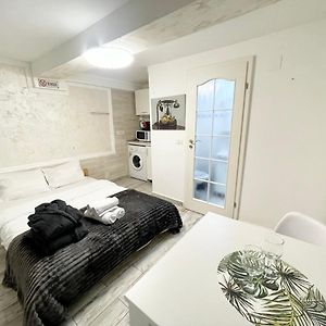 Metropolitan Retreat - Half Ground Level With Windows - Demisol