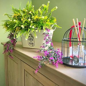 Cosy Chouette