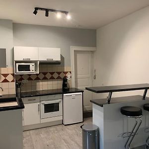 Grand Studio Centre Ville Saint-Etienne