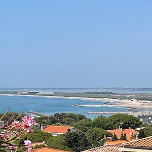 Villa L' Oliviera, Vue Mer Et Plages A Pieds