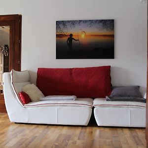 Charmant Appartement Entoure De Nature Et De Calme