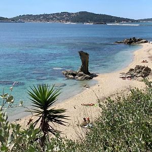 Superbe Appartement A 5 Minutes A Pied De La Mer