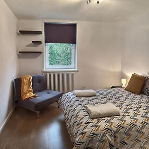 Regents Park Area