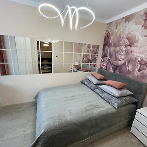 Comfort Apartment Pawia Street - Free Parking !!!