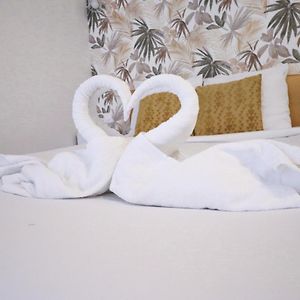 Studio Lit King-Size