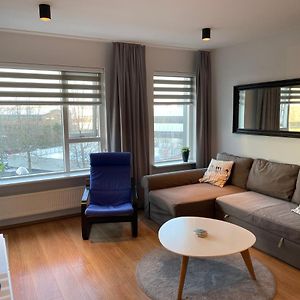 Beautiful Flat In Downtown Reykjavik With A Veiw