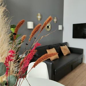 Appartement Supérieur à 1 Chambre à Coucher