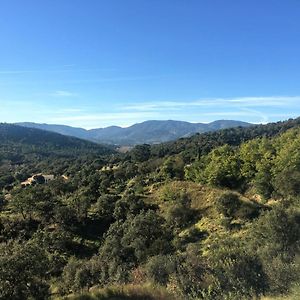 Appartement Neuf, 2 Chambres, Terrasse Plein Sud A Sainte-Maxime