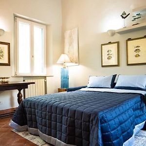 Maison 1 Chambre