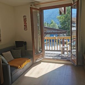Appartement Cosy Dans Un Chalet D'Origine