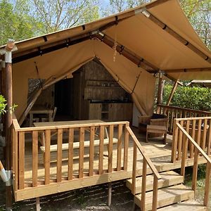 Lodges & Nature - 49