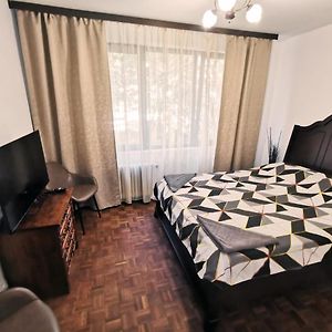 Cozy Apartment Sala Palatului