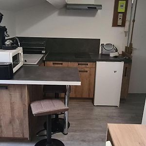 Studio Proche De L'Universite Trefilerie