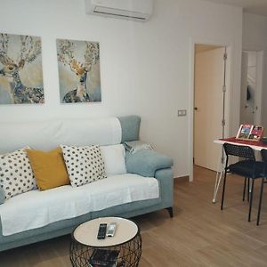 Appartement Penthouse