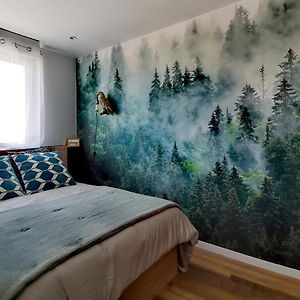 Proche Nancy Centre, A Quelques Pas Des Thermes Et Du Campus Artem, Appartement Calme Avec Parking Gratuit