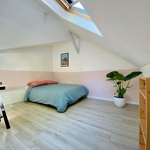 Casa Pelican